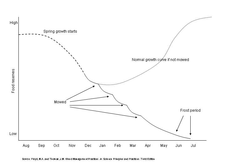 weed control methods cultural physical