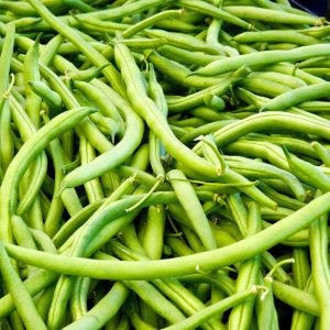 common green bean phaseolus vulgaris