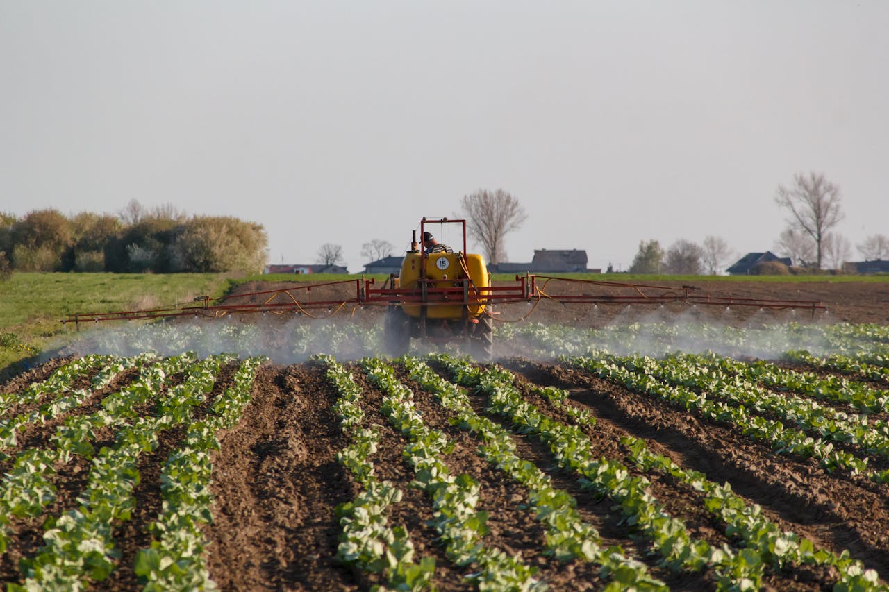 foliar spray vegetable crops africa fertilizer how to