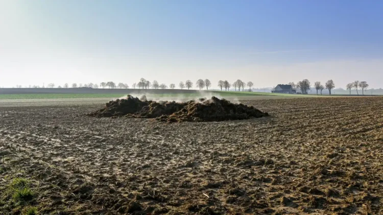 using organic material increase yields vegetables farming